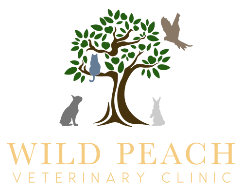 Wild Peach Veterinary Clinic